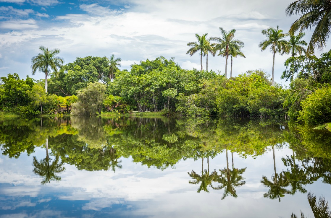 Fairchild Tropical Botanic Garden